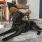 a dog lying on the floor